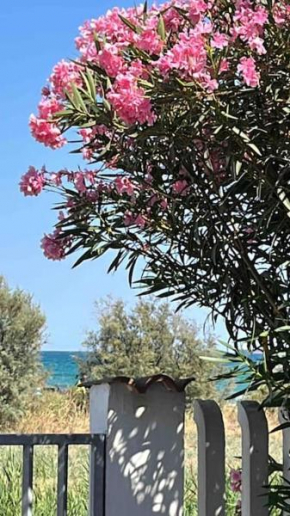 Casa dell'Oleandro con vista mare - IUN Q1269